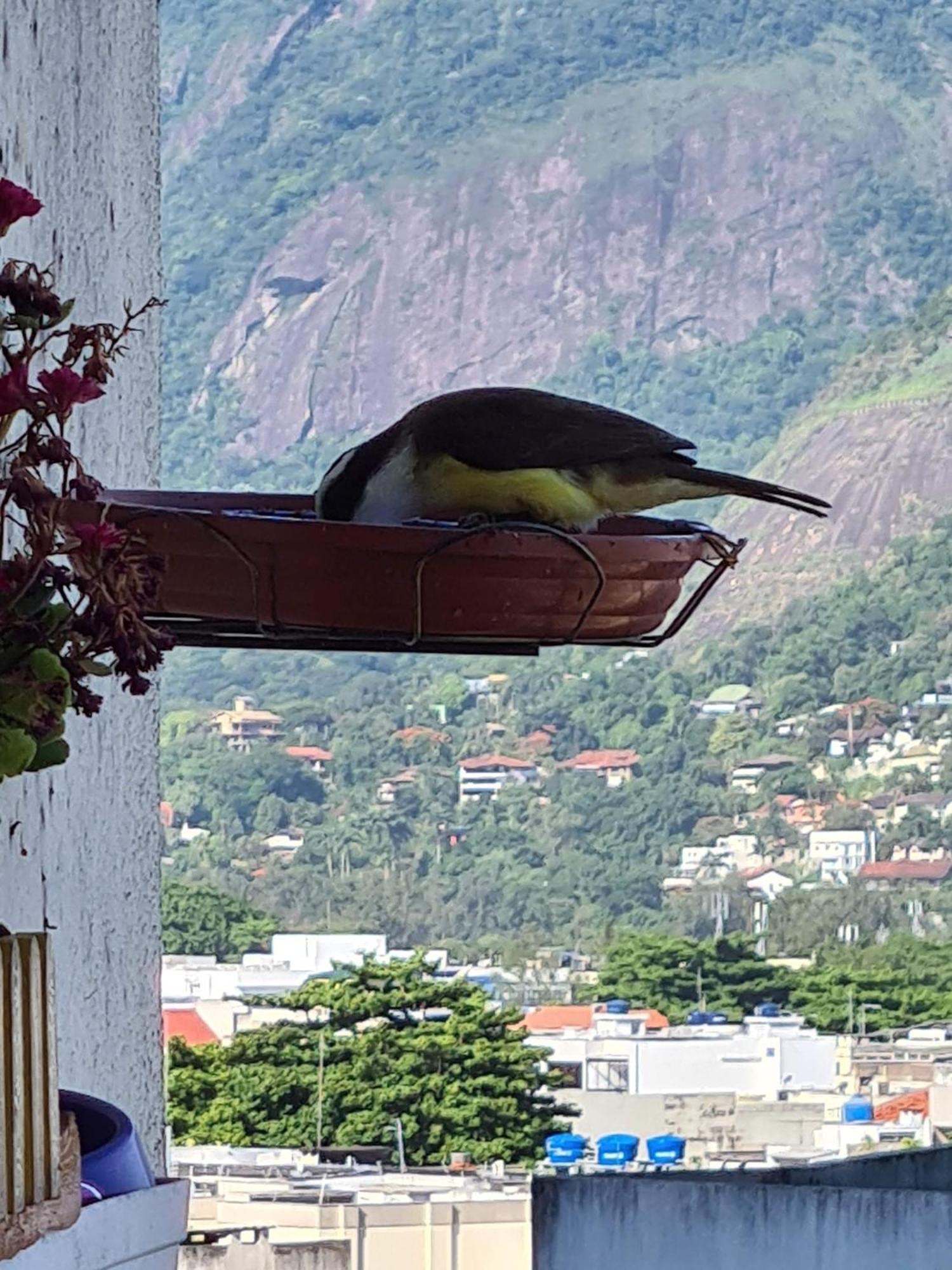 Apto Barra Da Tijuca Frente Pro Mar ริโอเดจาเนโร ภายนอก รูปภาพ